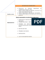 Bacillus Cereus y Mycobacterium