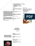 Diptico La Evaluacion Neuropsicologica