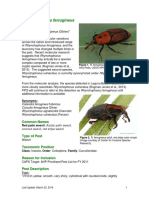 Red Palm Weevil Fact Sheet