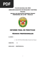 Muñeca Rivas - Informe Final de Prácticas Téc. Profes.