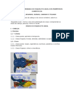 A Anatomia Comparada Do Esqueleto Axial Dos Mamíferos Domésticos