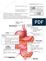 7.4 Chemical Digestion