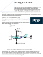 Principles of Flight PDF