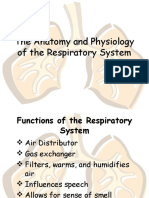 Respiratorysystem 16