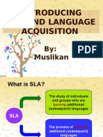 Introduction To SLA in University Level