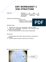 Student Worksheet 1 Blood Structure: Nucleus