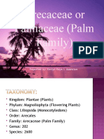 Arecaceae or Palmaceae (Palm Family) : Reported By: Kerlyn Kaye I. Asuncion