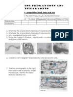 2016 Prokaytoes and Eukaryotes Station PDF