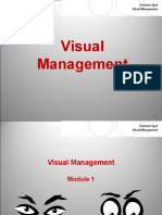 Visual Management 211pages