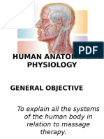 Human Anatomy & Physiology