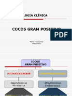 Cocos Gram Positivos