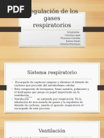 Regulación de Los Gases Respiratorios