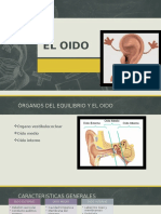 Histologia Del Oido