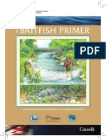 Baitfish Primer: A Guide To Identifying and Protecting Ontario'S Baitfishes