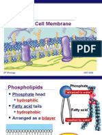 EB Cell Membrane