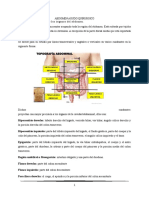 Abdomen Agudo Quirurgico Resumen