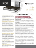 Ds Zonedirector 1200 Es