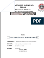 Informe de Peso Especifico - Agregado Fino