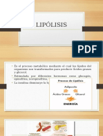 LIPÓLISIS