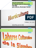 Labores de Cultivo