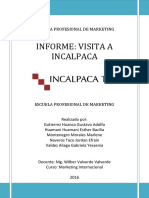 Informe Visita Incalpaca