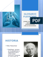 GLOSARIO FLEISCHNER Organizado