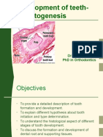 Development of Teeth 1