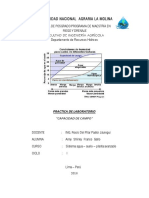 Capacidad de Campo - Informe