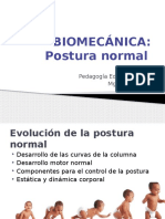 Postura Normal