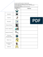 Sensation and Perception Study Guide