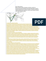 Métodos Geográficos