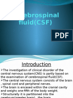 Cerebrospinal Fluid (CSF)