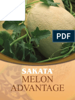 Sakata Melon Advantage Brochure