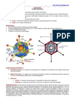 Adenovirus, Rinovirus, Coronavirus