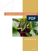 Rhubarb Business Plan v2 1