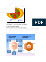 Terapia de Aceptacion y Compromiso