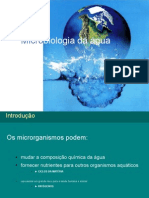 3149 - 9a Aula-Microbiologia Da Agua