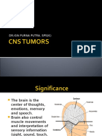 DR - Ign Purna Putra, Sps (K)