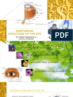 ANATOMY OF THE EYE (Organ of Vision) by DR Omeje Emmanuel