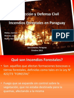 Incendios Forestales 