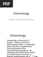 Entomology: Insect and Decomposition