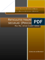 Reticulitis Traumatica y Secuelas