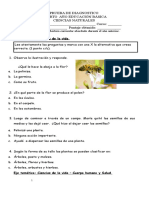 Diagnóstico Cs. Naturales 4º