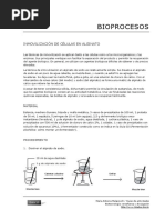 10 Inmovilizacion en Alginato PDF