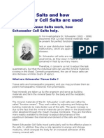 12 Tissue Salts and How Schuessler Cell Salts Are Used