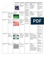 Cuadro de Bacterias