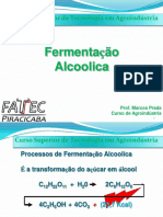 Aula 5 - Fermentação Alcoolica PDF