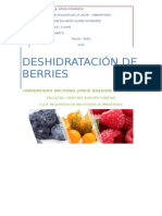 Deshidratación de Berries