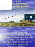 Reflexión Vuelo Gansos