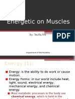 Energy Metabolism in Muscle